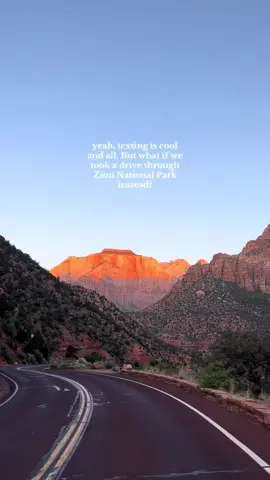 Sounds like fun to me 🚐 #zion #zionnationalpark #utah #roadtrip 