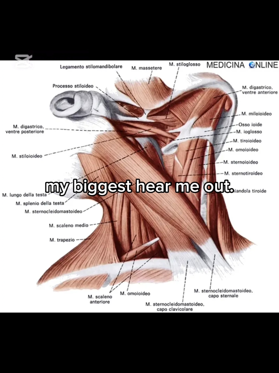 guys hear me out 😍  #hearmeout #fypツviral  #sternocleidomastoid 