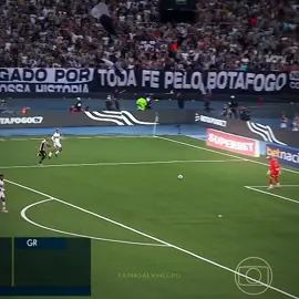 CAMPEÃO BRASILEIRO😭 #botafogo #fariasalvinegro #botafogoedits #brasileirao