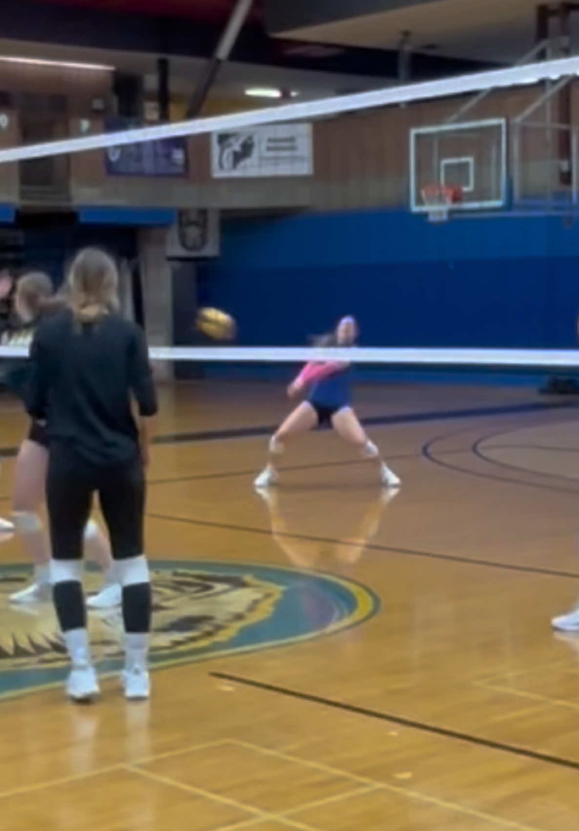 🚨New drill alert! #womensvolleyball #volleyballgirls #volleyball #canadavolleyball #lakehead #thunderbay 