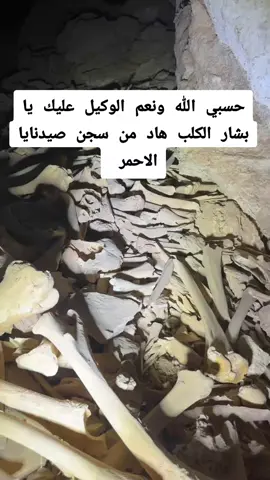 #❤️🥹❤️🥹❤️❤️❤️😅😅❤️😅😅❤️😅❤️😅😅 #اكسبلووووورررر #