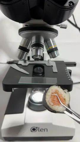 Sushi no microscópio 😱 #microscopio #microscope #sushi #salmao #curiosidades 
