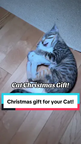 My cats love this toy! #flappingbird #cattoys #cattok #petgifts #petgiftideas #catchristmas #catparents #catmom #catdad #tiktokshopholidayhaul 