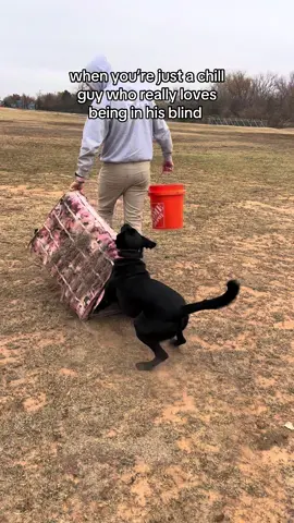 a super chill guy                                   @Jacob Russell                              @pound                                                     -                                                          -                                                      -                                                      -                                                            -                                       #blacklab #blacklabsoftiktok #fyp #duckdog #oklahoma #oklahomalabs #dog #funnydogvideos #huntingdog #huntingdogsoftiktok #chillguy