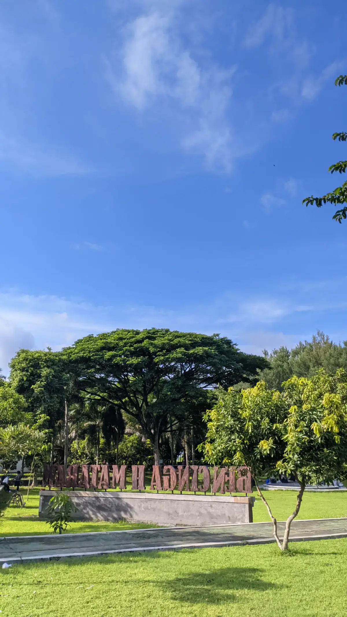 vibes pagi nya selalu bikin betah #mataram #lombok #ruangterbukahijau #hutankota #tamankota 