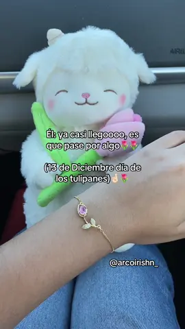 13 de diciembre día de los tulipanes🌷🌷Amamos los hombres detallistaaas 🌈Pregunta por todos nuestros estilos!! 🚚 Envíos a todo Honduras🇭🇳 #tulipanes #honduras #collardetulipan🌷 #pulseradetulipan #arcoirishn_ 
