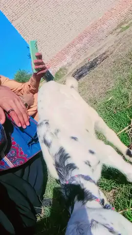 #foryou #ghotki #SAJID #91238 