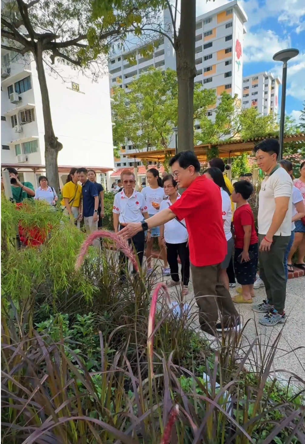 A Blooming New Beginning at East Coast’s 1st Therapeutic Garden – Celebrating Wellness and Nature. Officially opened by DPM Heng Swee Keat on 7 December 2024. 🌻🌸🪻 #TherapeuticGarden #Wellness #Nature #CaringEastCoast #VibrantEastCoast #GreenEastCoast #itsallpartoftheplan 