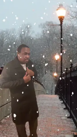 #creatorsearchinsights #fyp #tiktok #luthervandross #christmas #doppelgänger 