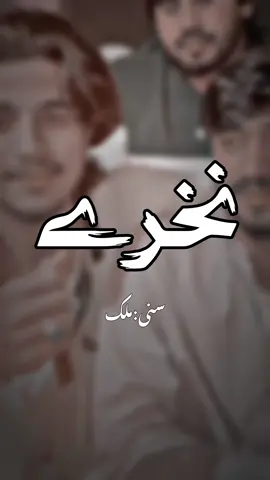 جے وڈا تھیسی تا کیا کریسی✨🥺💫 #saraiki #saraiki__status #Foryoupage #Foryoupage @ملک سنی🚬💔💔💔 