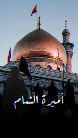 #أميرة_الشام#سوريا🇸🇾 #حسينية_ميديا #ياأبا_عبدالله_الحسين #اللهم_صل_محمد_وآل_محمد #اللهم_عجل_لوليك_الفرج #السيدة_زينب #زينب_الكبرى 