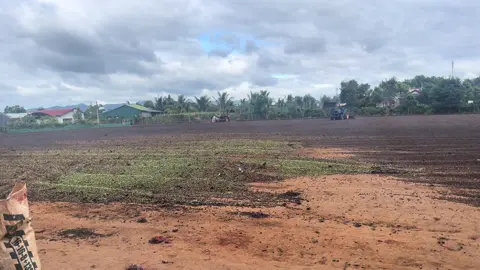 Yêu quái lại tới rồi bà con ơi. 