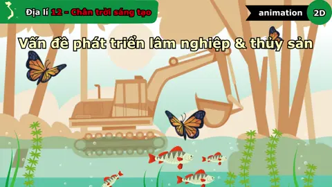 Địa lí 12 - Bài 13 - Vấn đề phát triển lâm nghiệp và thủy sản - Chân trời sáng tạo - #khoahoc #khampha #geography #Science #vietnam #vietnamtoiyeu #diali #diali12chuongtrinhmoi #dialy