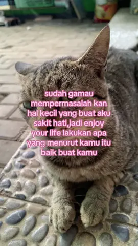 #4you #fouryou #fyp #4upage 