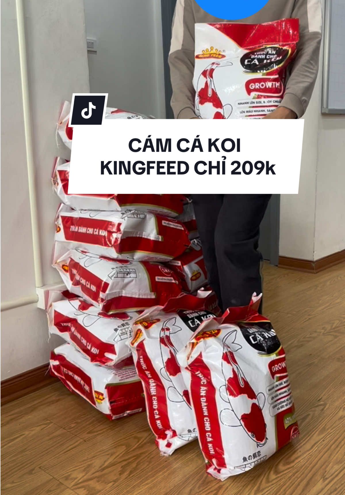 Cám cá koi KingFeed giá chỉ 209K bao 5kg #camcakoi 