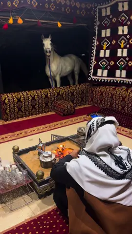 #fyp #explore #خيل #الجوف #تصويري📷 