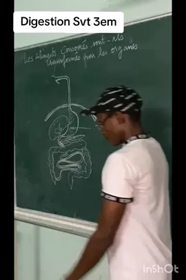 Appareil#Digestif et tube digestif#svt 3em.@Mr CHARMANE @Rayan @Adams @Baseerah International school- @soifia #