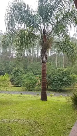 Digita Amém que crê no Deus do impossível 🙏 #frasesdereflexão #deusnocontrole #mensagemdodia 