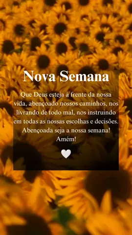 Bom dia! Abençoada semana! 🙏🌻🍃 #bomdia #status #statusvideo #motivation #frasesmotivadoras #statuswhatsapp #fyp #vaiprofy #paravoce 