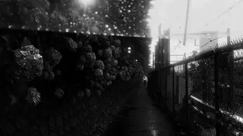 anh yêu em hơn thế...#nhacsuy #tinhyeu #xuhuong #tamtrang 