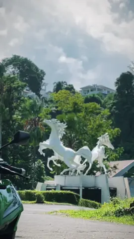 #vavarioan  #varioproper 