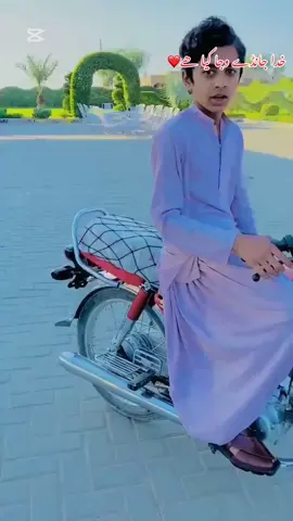 #سنگت_ویڈیو_وائرل_کریسو_آپ_ہیں🥀🌼🙈✨🎇 #foryou #foryoupage #growmyaccount #trendingvideo #سرائیکی شیر