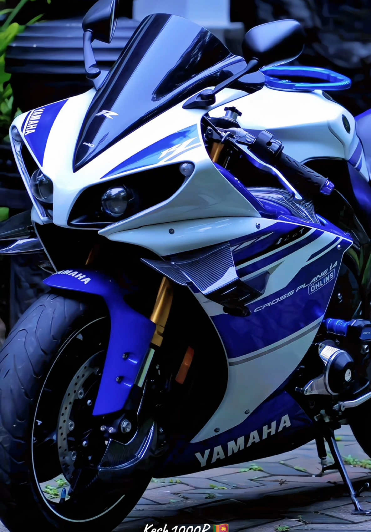 මේවට ගමම දෙදරන්නෙ නම් නෑ 🥺