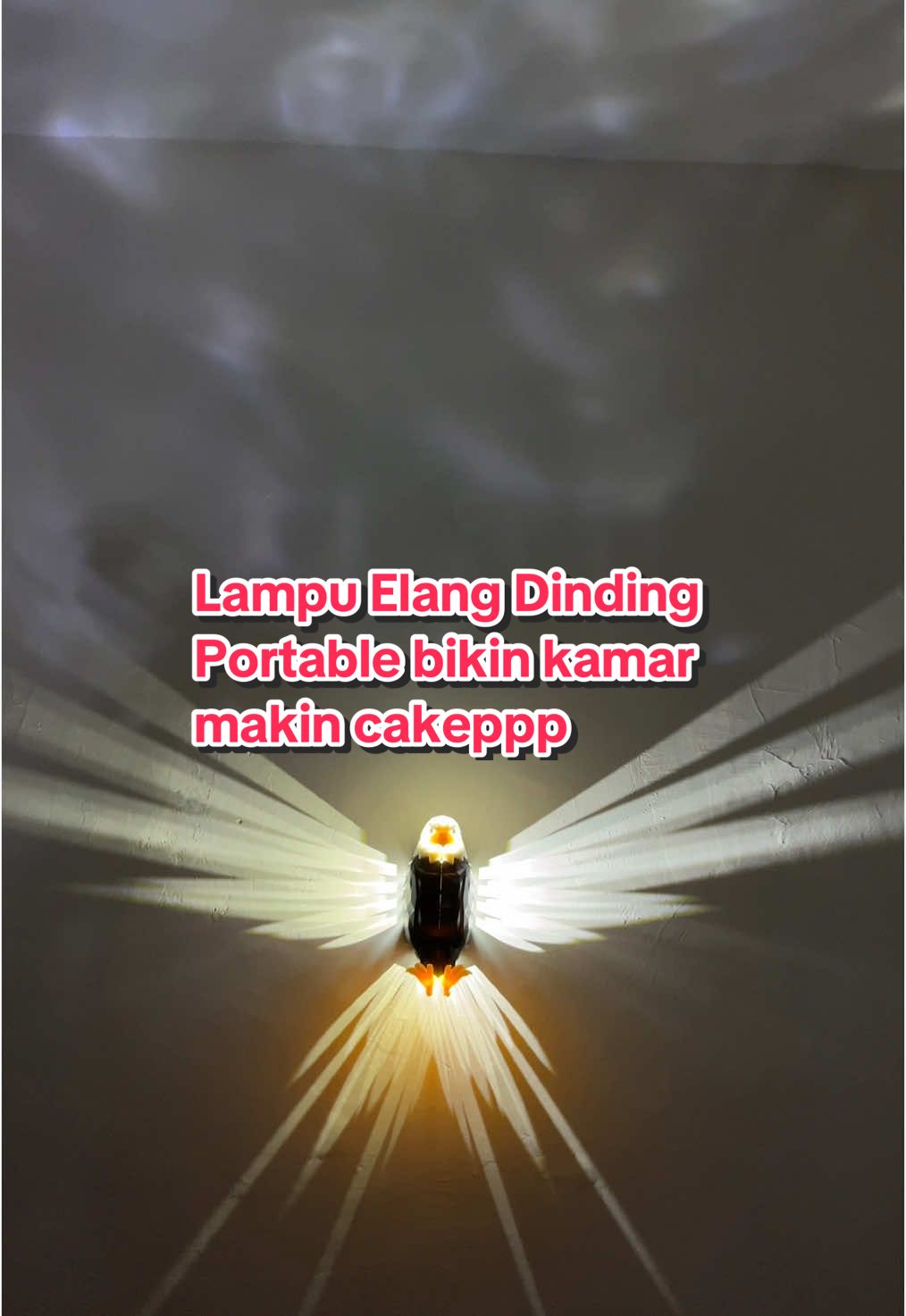 Membalas komen dari  @Masss💫 || IG : Masykur.05  Ga sia sia punya lampu elang dinding ini😭 cakep bangettt bikin kamar makin aesthetic ✨ #lampuelang #lampurajawali #lampudinding #lampuhias #lampuhiasdinding #megaguncang1212 