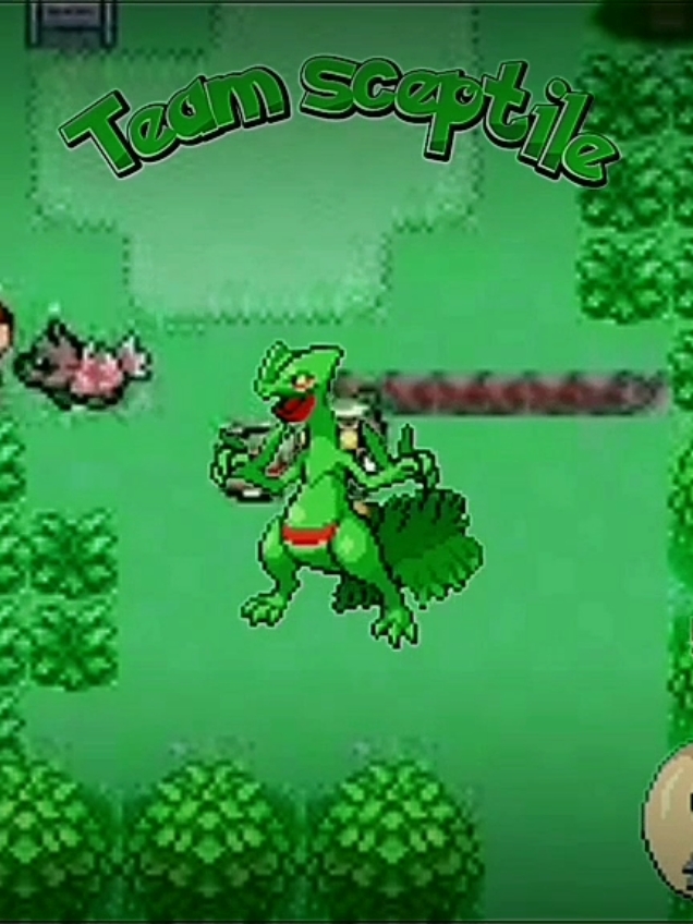 Melhor time para zerar pokemon emerald! time sceptile! #pokemongba #pokemonemerald #games #retro #hoenn #edits #Pokemon #sceptile #gameboyadvance 