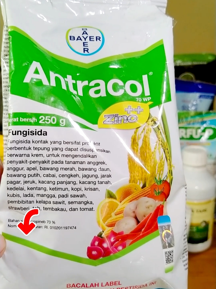 Antracol adalah fungisida yang memiliki kandungan zinc , berfungsi ganda untuk melindungi tanaman dari penyakit jamur, dan memacu proses perkembangan bunga dan buah. cara kerja fungisida dibagi kontak atau non sistemik. Fungisida ini sudah sangat popular, terutama buat para petani hortikultura. Manfaat lain dari fungisida ini bisa menghambat, menghilangkan jamur pada area akar, tunas dan daun. cara penggunaanya, bisa di gunakan dengan system kocor ataupun spray pada tanaman. Agar hasil spray ini berfungsi dengan baik, tambahkan bahan perekat. agar fungisida ini tidak hilang begitu saja saat semprotkan. Penggunaan antracol ini sebaiknya dipagi hari atau disore hari. Antracol ini bisa digunakan untuk semua jenis tanaman sayur, buah, polong, biji dan tanaman hias lainya. Sesuaikan dosis pemakaian sesuai dengan yang ada dikemasan. #antracol #fungisida #fungisidakontak #antracolbayer #fungisidaorganik #pupuk #pupukorganik #pupukorganikcair #pupukbuah #hortikultura #megaguncang1212 