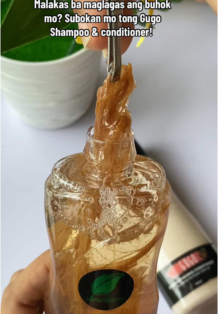 All natural ingredients anti hairloss shampoo and conditioner. #antihairlossshampoo #antihairfallshampoo #haircare #hairfallshampoo #hairfalldefense #gugoshampooandconditioner #strengtheningshampoo #zenutrients #naturalshampoo 