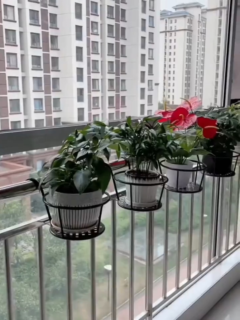 #plantholder #flowerplantholder #plantrack #hangingplantrack #balconyplantstand #tiktokshopph  #tiktokshoppayday #tiktokshoppaydaysale #TikTokShop  #tiktokshopbudol #plantito  #plantitoplantita #plantita  #fypphilippines #tiktokshopontrend #1212paskongpanalo 