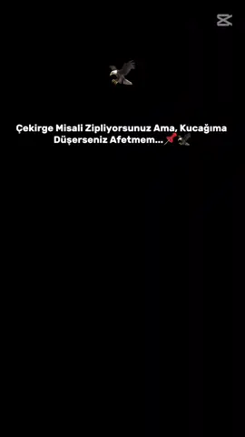 S T O R İ L İ K VİDEYO BIRAKTIM ☝❤️‍🩹#keşfe #gaziantep #Vatanmahalesi#karakaya #sitorilikvidyolar📌 #birumutturyaşamak #raconkesme #yukselx272#kesfeteyiz #🦅❤️‍ #fyp #fy #CapCut 