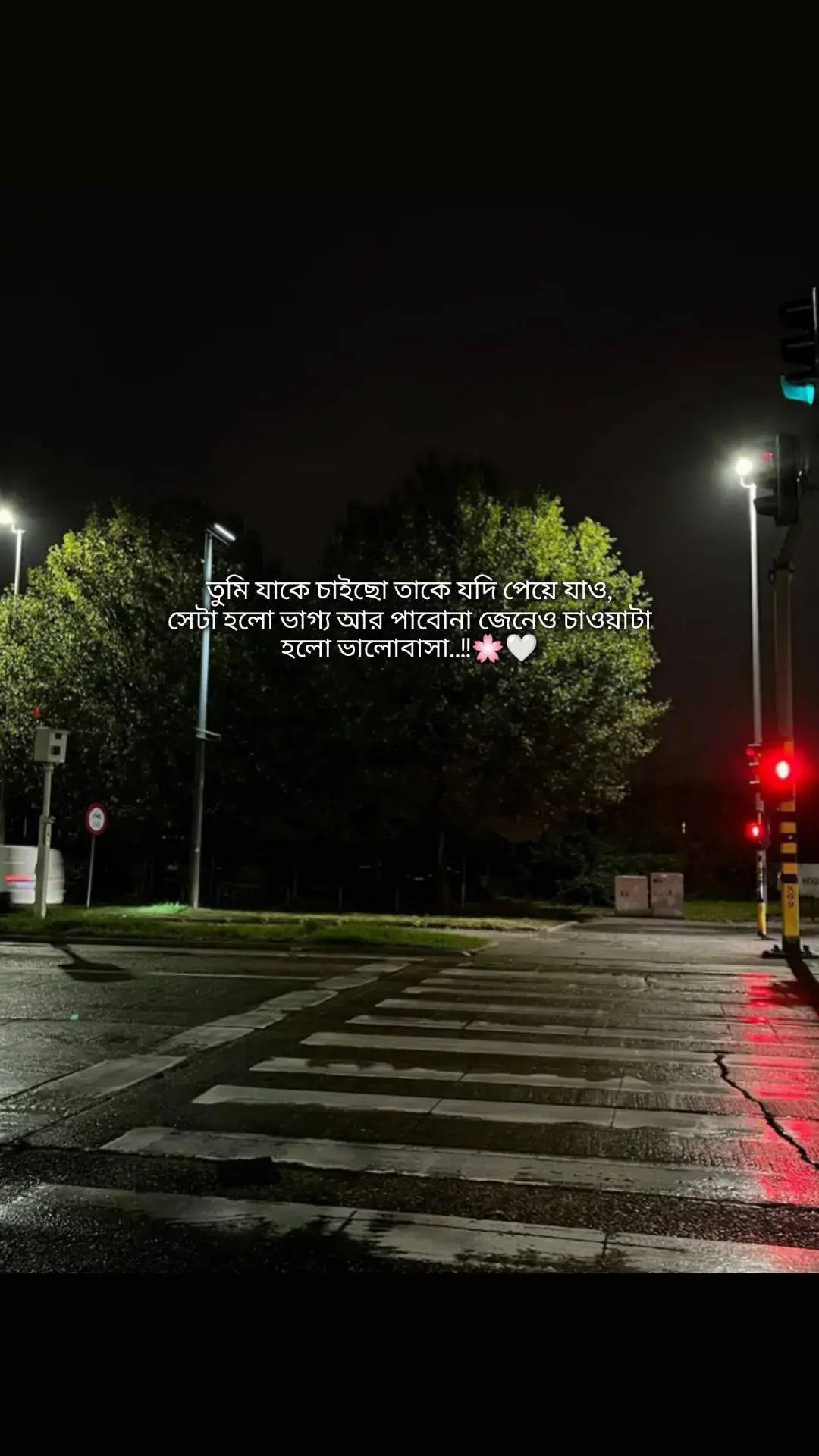 #হুম🌸🤍#for #support #fyp #ftyp #fouyoupage #foryoupage 