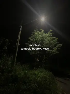 pengen mandi bola🥹