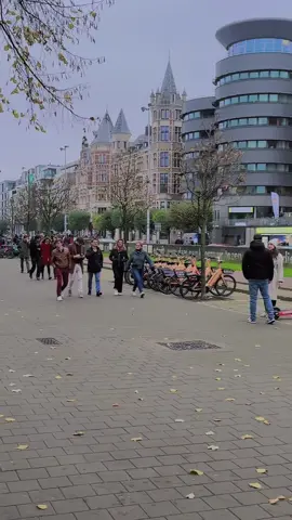 The beauty of Belgium lovely country #belgium #antwerpen🇧🇪 #videoviral #viral_video #fyp #foru 