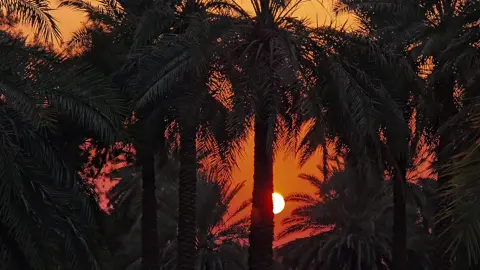 فديو لطيف 🤍🥀