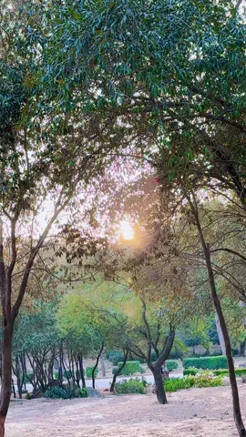 Ala rishtya😜#sweetdana #foryou #foryoupage #viralvideo 