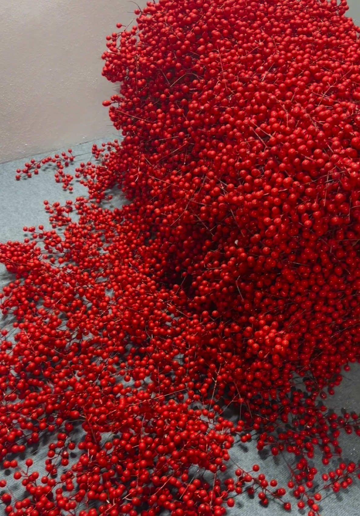 Đào đông nhánh rời 12 quả, sáng bóng đẹp quá cả nhà ơi! #decortet #trangtritet #xuan2025 