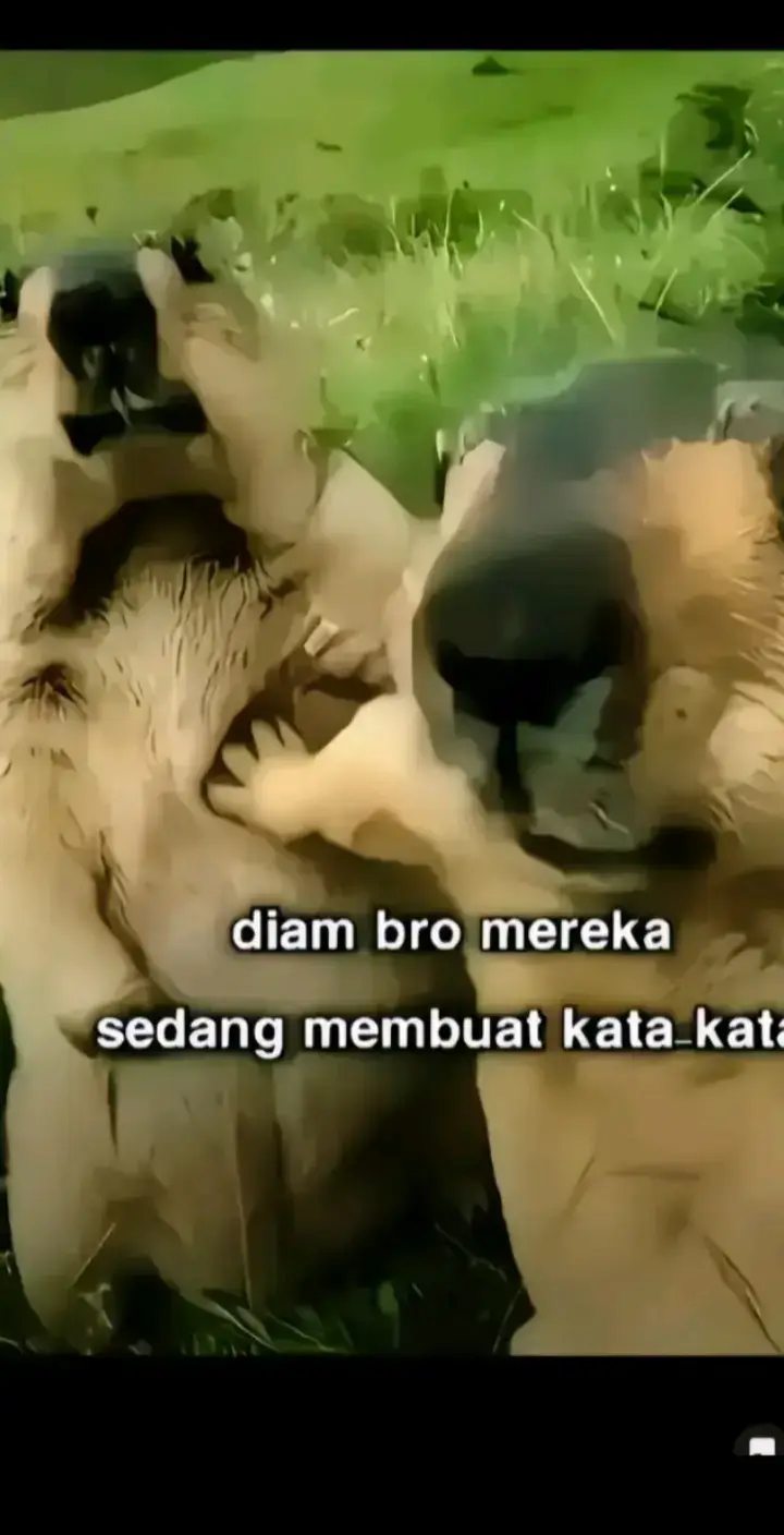 #bismillahfypシ🥀 #storysad🥀 #sadvibes🥀 #katakatasad🥀 #tik_toksad🥀 