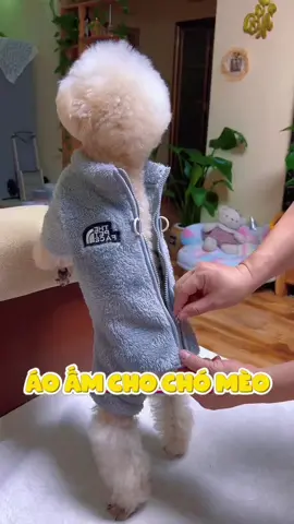 Áo ấm cho chó mèo #cute #cutedog #puppy #puppydog #animals #doglover #fyp #pet #dog 
