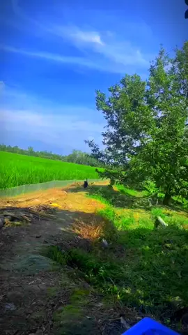 người ta nói View này là View triệu đô ❤️🌱 #videochill #dongque #xhtiktok #CapCut 