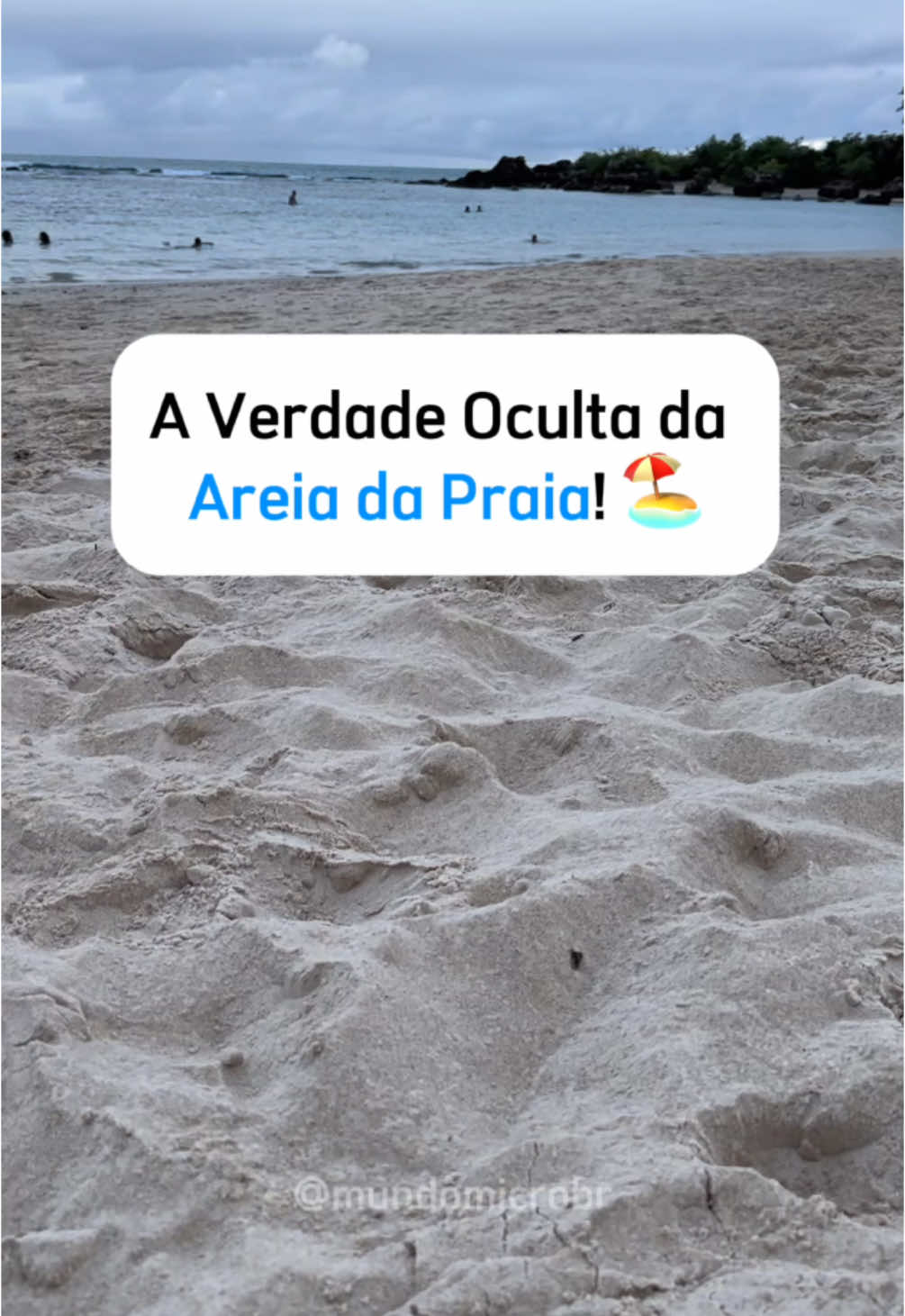 A verdade oculta da areia da praia 🏖️ #praia #microscopio #mundomicro #microbiologia #areia