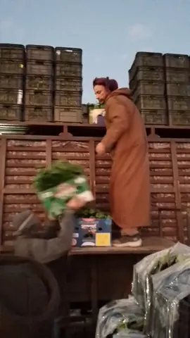 #بسكرة #❤️🌴 #بريكة😍_باتنة🤩_مسيلة😘_بلعايبة❤️جزائر #باتنة_خنشلة_ام_البواقي_سوق_هراس_تبسة #تيبازة_بلعباس_وهرااان_تلمسان 