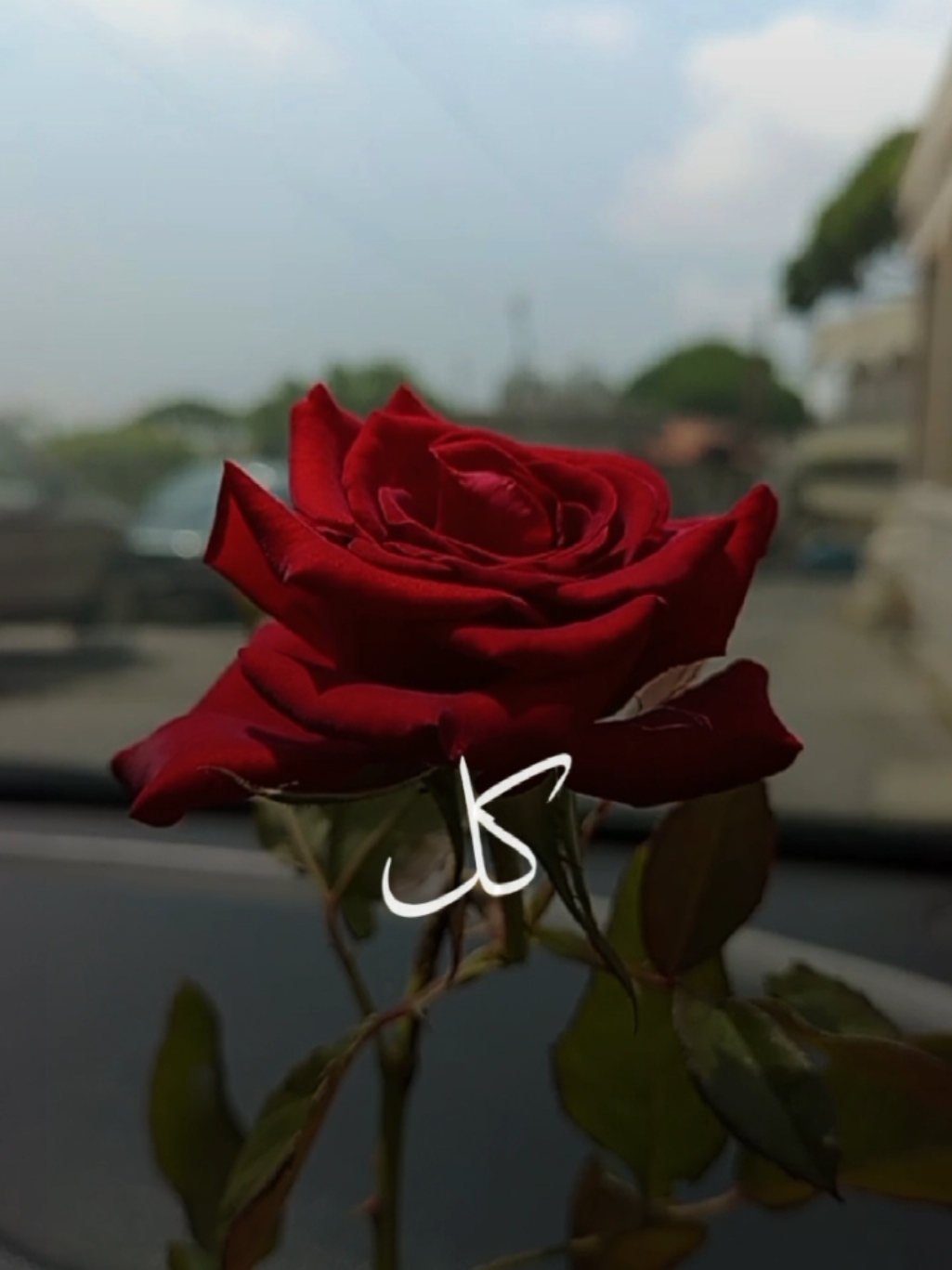 #CapCut #ناسي_وعالمي  #ماجد_المهندس #اكسبلور #viral #ترند #lavendr81 #تصميم_فيديوهات🎶🎤🎬 