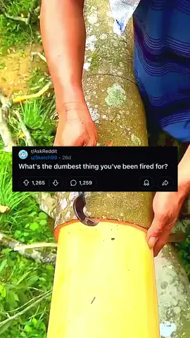 What's the dumbest thing you've been fired for? #reddit #askreddit #redditask #story #redditstory #redditrealms #redditrealms #redditonrealms #LearnOnTikTok #satisfying 