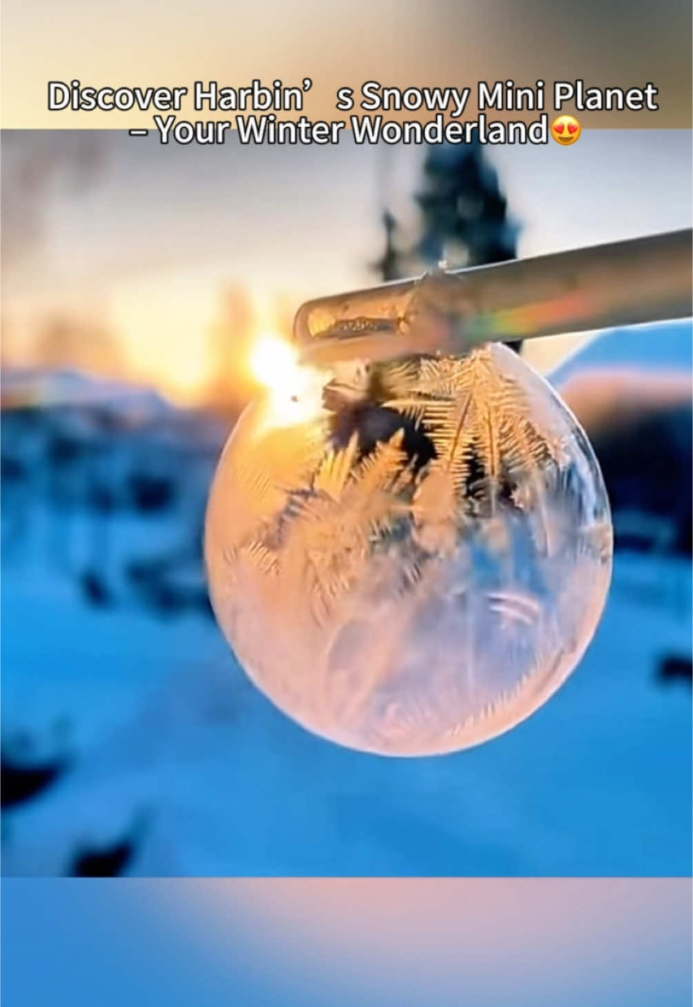 Discover Harbin’s Snowy Mini Planet – Your Winter Wonderland#HarbinAdventures#china  #ChinaTravel