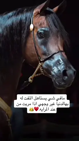 #انششششهد👌🏻👌🏻 👑♥️