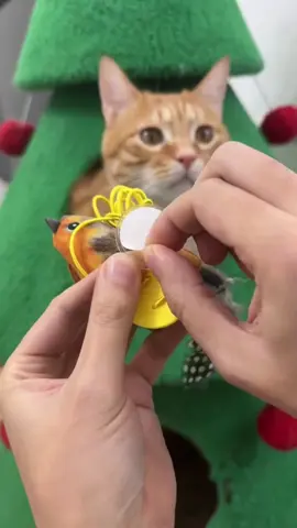 My cat is going crazy on the bird toy. 😹#cat #cattoys #kitty #catlover #catmom #kitten #catoftiktok 