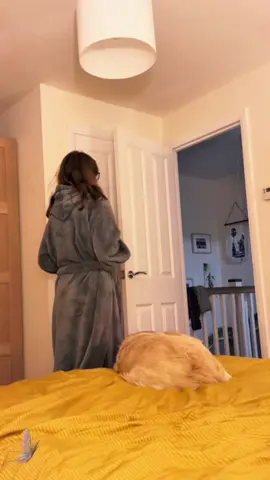 How to get your husband to come to bed 😝❤️ #scarepranks #scarecam #fail #jumpscare #scary #scared #scaring #foryour #fypシ #funnyvideos #funny #prank #scaringpeople #funnyprankvideos #funnymoments #hahaha😂😂😂 